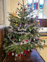 A decorated Christmas tree